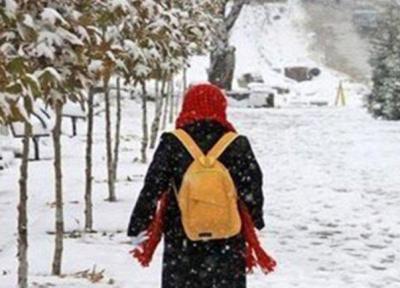 مدارس تمام مقاطع تحصیلی در فیروزکوه فردا سه شنبه تعطیل است