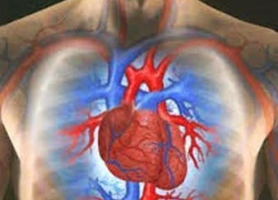 همکاری محققان دانشگاه آزاد و هاروارد در ساخت داربست دریچه قلب